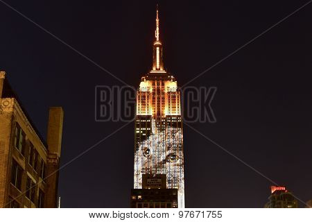 Empire State Building - Racing Extinction