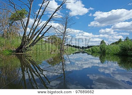 Poland.brda River In Summer.horizontal View