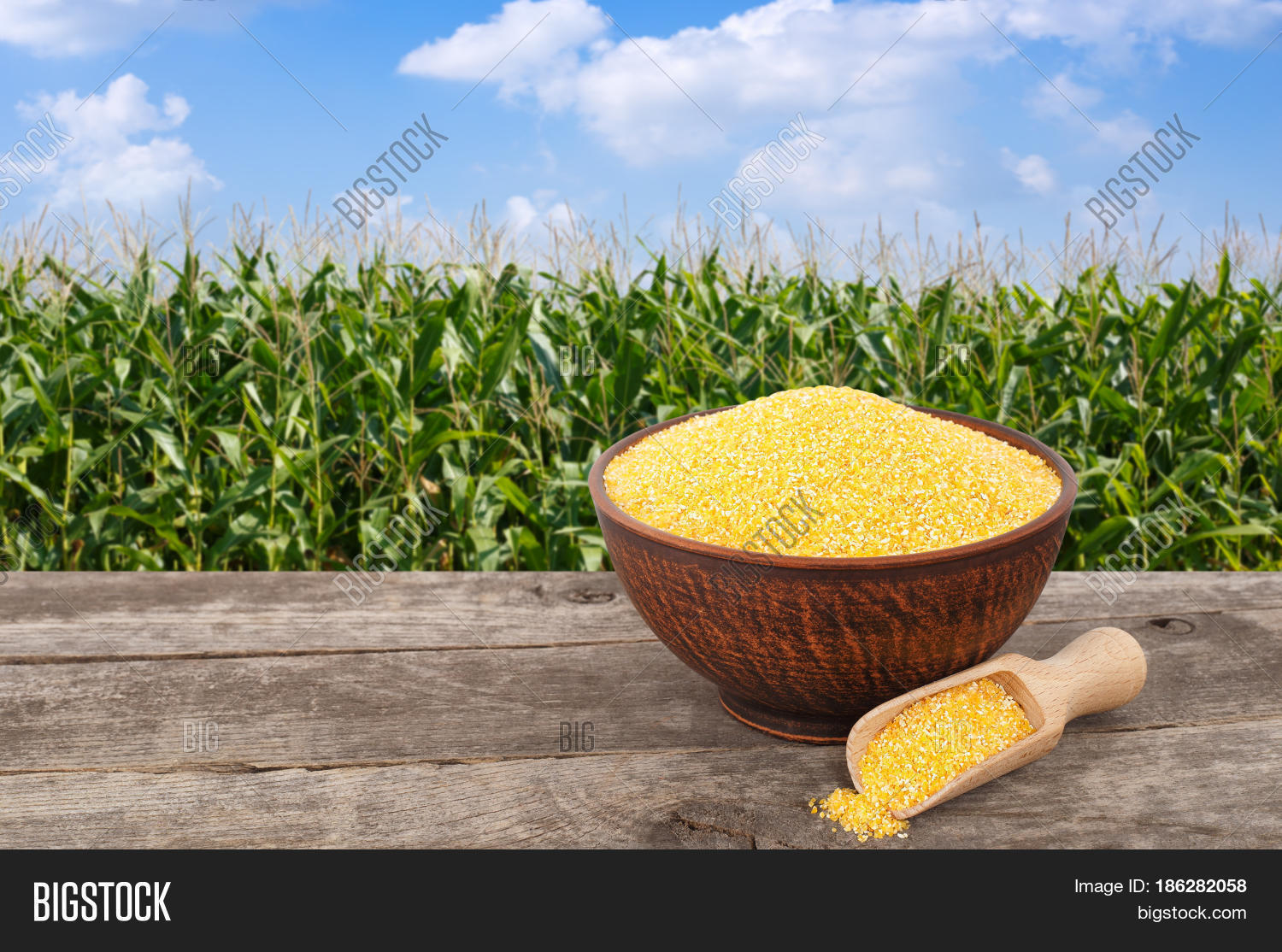 Uncooked Cornmeal Image & Photo (Free Trial) Bigstock