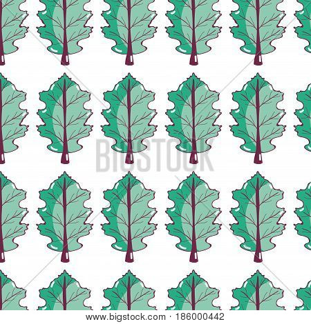 nice organic plant with branches bachground, vector illustration design