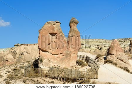 Camel Rock In Devrent Valley At Cappadocia. Turkey