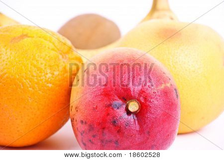 Mango tropik meyve