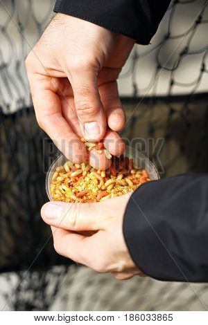 Fishing bait. Angler holds a box of worms in his hand