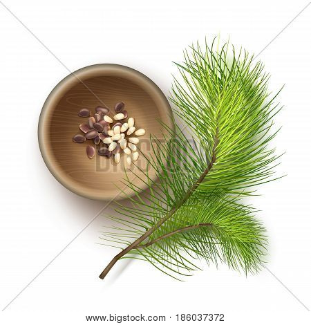 Vector realistic pile of unshelled and shelled pine nuts in wooden bowl with cedar branch close up top view isolated on white background
