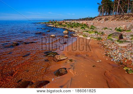 Vidzeme Stony Seacoast. Baltic Sea coast. Kurmrags