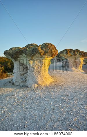Stone Mushrooms colored in yellow from Sunrise near Beli plast village, Kardzhali Region, Bulgaria