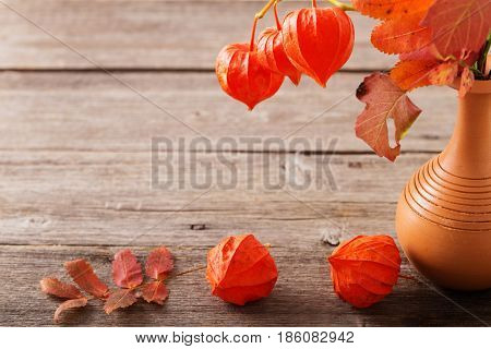 the still life with red physalis on old wooden background