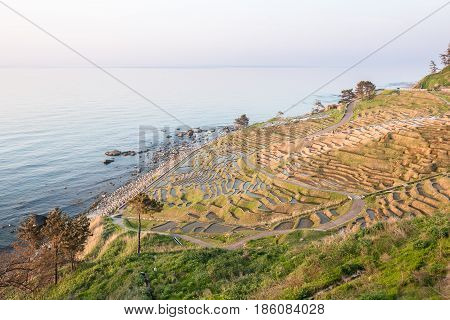 Rice terraces at Shiroyone Senmaida on Japan's Noto Hanto coast