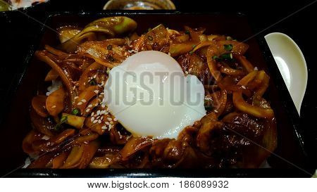 rice with slice pork and egg butadon