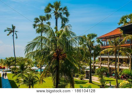 Hotel The View From The Top With Palm Trees. Bali, Indonesia, Tanjung Benoa. Nusa Dua.