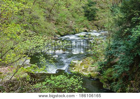 Landscape with river Bode in the Harz area Germany.