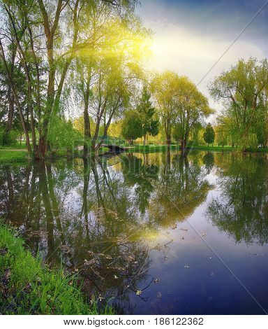 Tranquil Pond With Lush Green Woodland Park in Sunshine. Reflection of trees in water