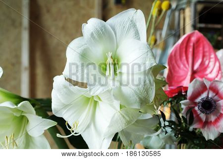 Flower arrangement with branches of a pistachio branches of Ruscus, carnations, roses, branch of Brunei, berries of Hypericum. Wedding concept