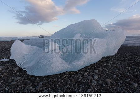 Beauty Ice breaking on black rock sand beach Iceland winter natural landscape background