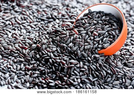 Organic black nerone rice closeup as a background