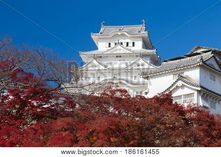 Himeji white castle Janpan historic landmark during autumn season