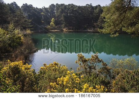 Beautiful Vibrant Landscape Image Of Old Clay Pit Quarry Lake With Unusual Colored Green Water