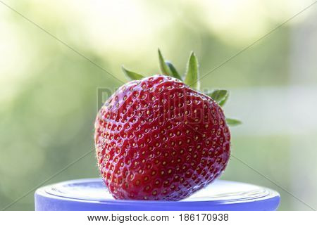 Strawberry On A Motley Background