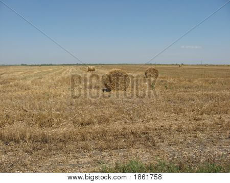 Haystack