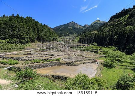 Yotsuya Rice Terrace of Shinshiro in Aichi, Japan.