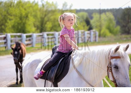 Little blond girl riding a white horse.
