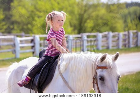 Little blond girl riding a white horse.