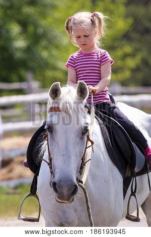 Little blond girl riding a white horse.