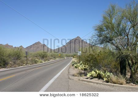 Strada del deserto in Arizona