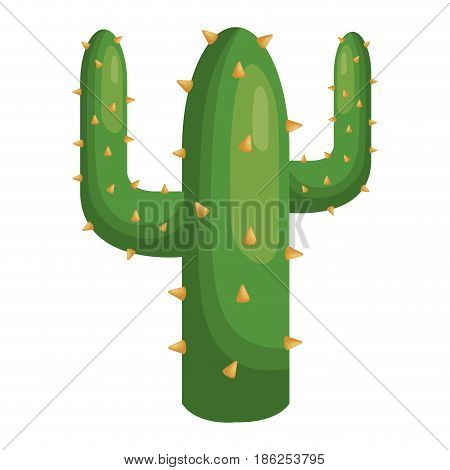 cactus plant isolated icon vector illustration design