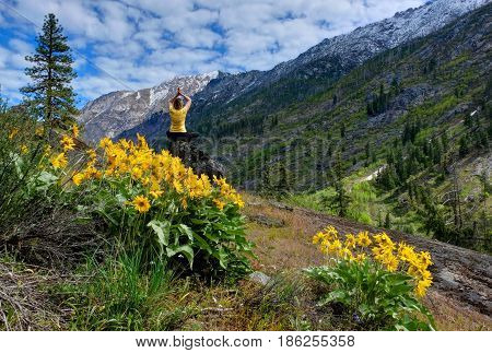 Young woman meditating in nature. Arinca flowers in alpine meadows. Cascade Mountains. Seattle. Leavenworth. WA. The United States.