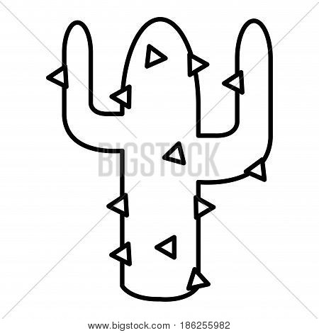 cactus plant isolated icon vector illustration design