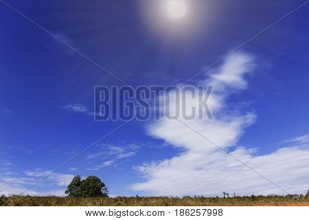 The clouds in the blue sky and sun, natural background.
