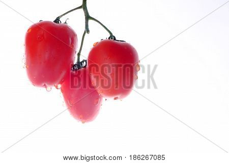 Fetus of tomatoes notable of a hight gustatory and dietary qualitys.