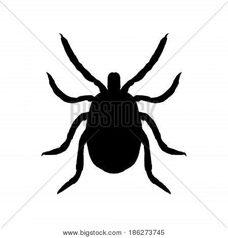 Silhouette of mite. Top view. Realistic incsect isolated. Line graphic design. Black and white icon Vector illustration.
