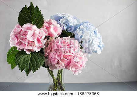 hydrangeas in a glass vase. Hydrangeas produce larger mopheads made up of clusters of small flowers from Summer through Autumn