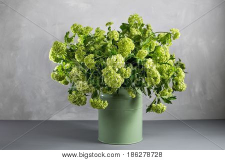 Branches of flowers viburnum berries in green bucket.
