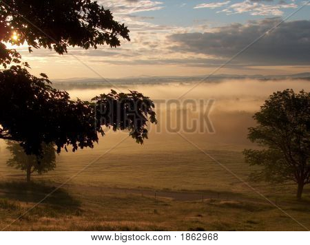 Misty Morn juillet 2007