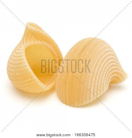 Italian lumaconi isolated on white background. Lumache, snailshell shaped pasta.