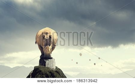 Rhino on rock top