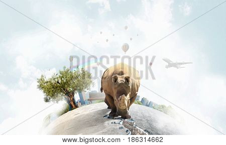 Rhino on asphalt road