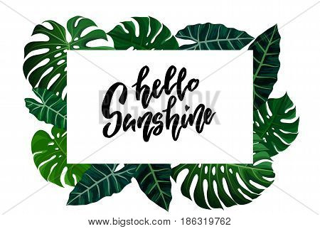 Frame with green tropical exotic banana monstera palm leaves on style background and hand drawn note hello sunshine. Fabric, wrapping paper print. Vector illustration stock vector.