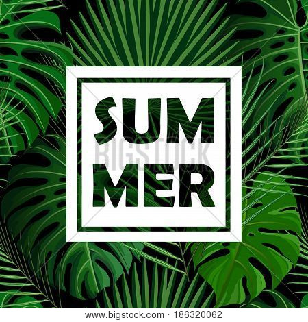 Seamless pattern with green tropical exotic palm leaves on abstract black background and logo note summer print. Vector illustration stock vector.