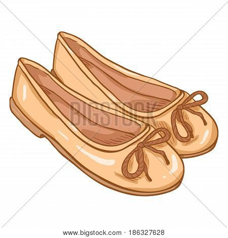 Vector Cartoon Illustration - Pair Of Women Ballet Flats