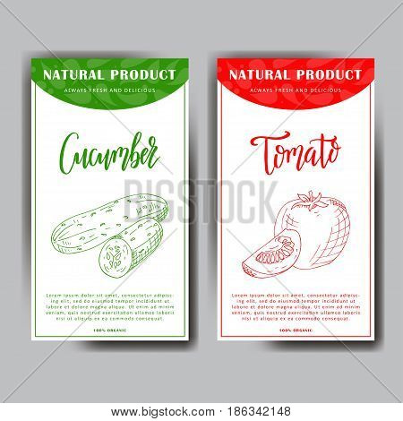 Vector vegetable element with tomato and cucumber. Hand drawn icon with lettering. Food illustration for cafe, market, menu design