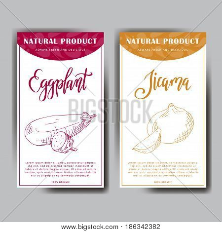 Vegetable food banner. Eggplant and jicama sketch. Organic food poster. Vector illustration
