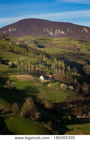 Beautiful wild mountain hills Holbav, Brasov, Romania