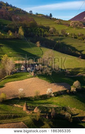 Beautiful wild mountain hills Holbav, Brasov, Romania