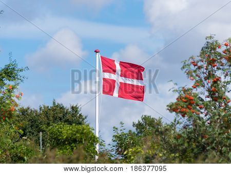 danish flag waving in the wind on sjaelland