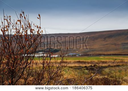 Landscape view of the big mountain and the grass field on the way to Reykholt autumn Iceland