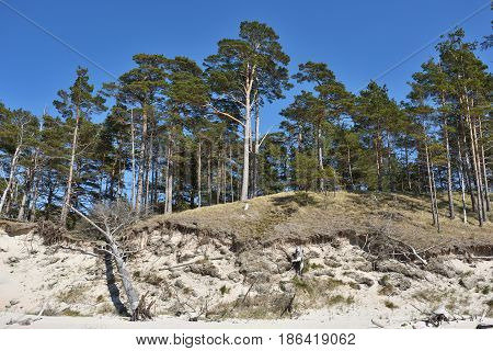 Natural erosion shore of Baltic sea coast